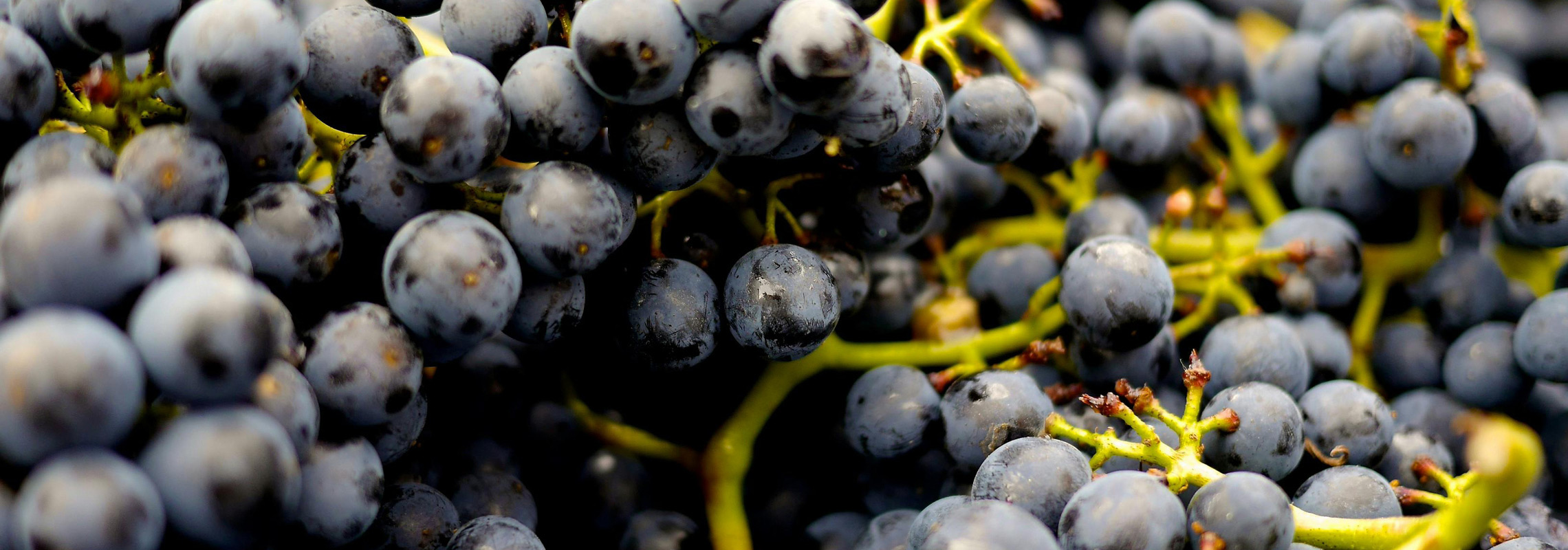 Grapes