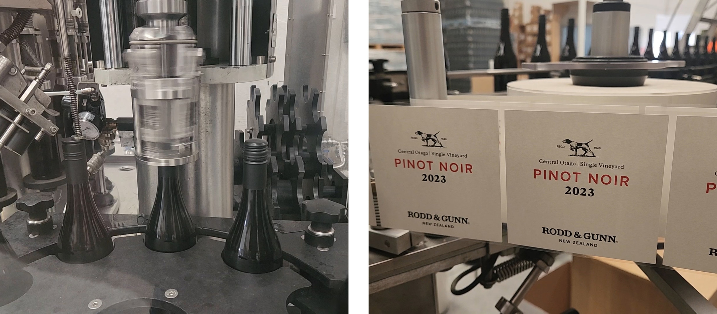 Production of the Rodd & Gunn Pinot Noir