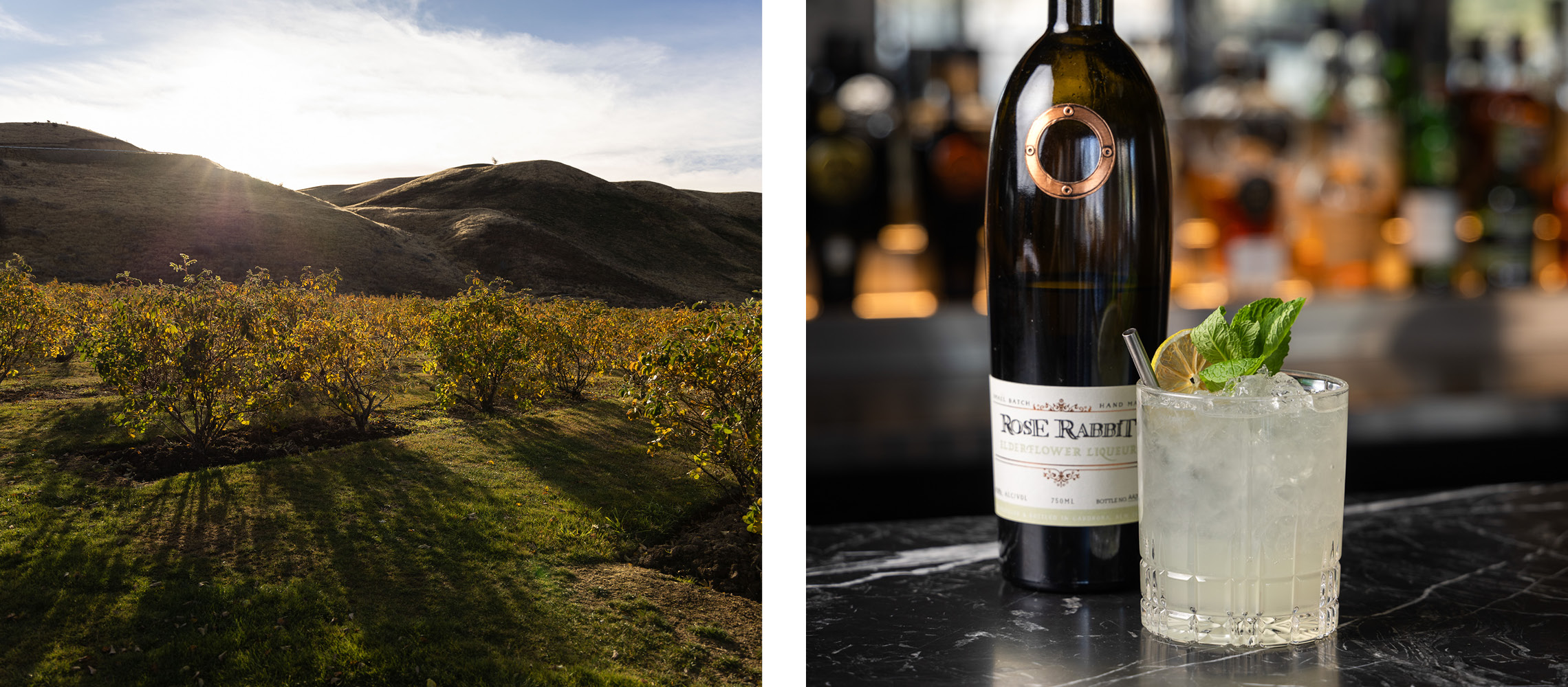 Rodd & Gunn The Lodge Queenstown - Cardrona Distillery