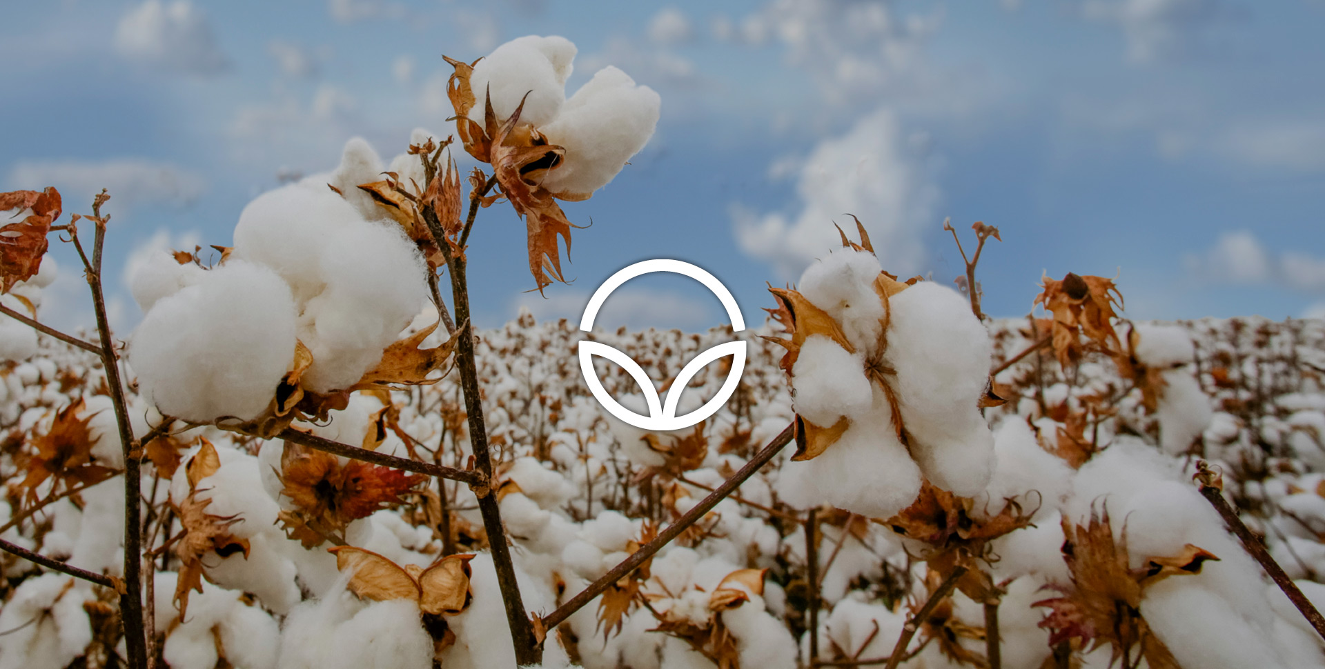 Good Earth Cotton Rodd & Gunn have partnered with Good Earth Cotton®