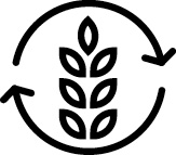 Seasonal Crop Rotation Seasonal Crop Rotation Icon