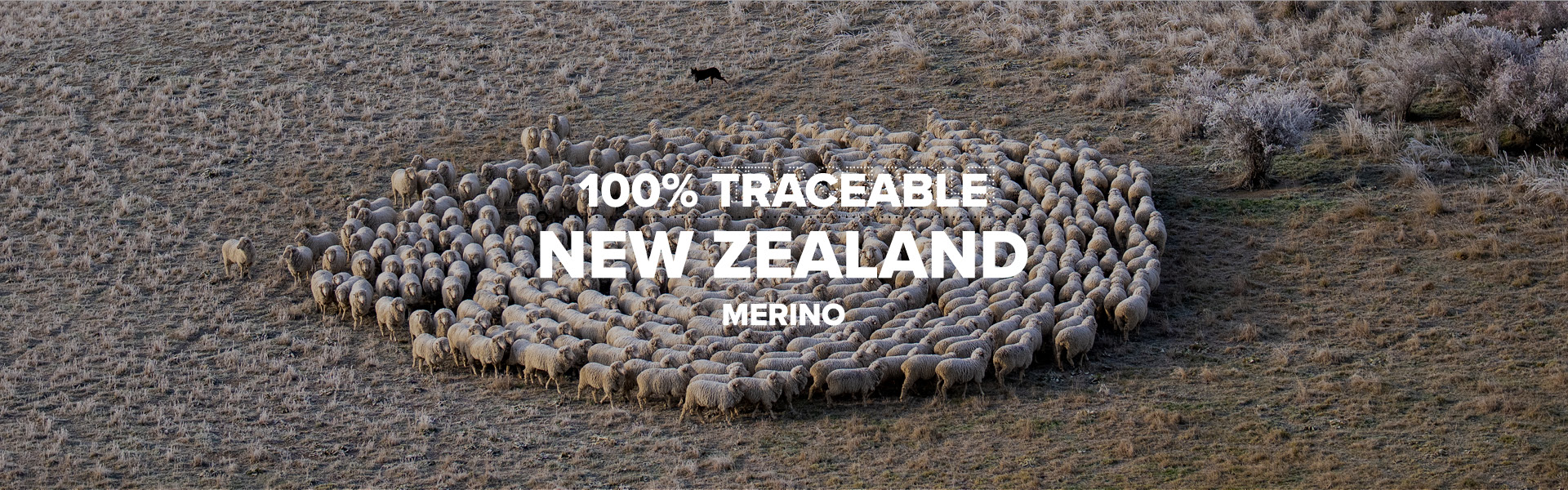 100% Traceable New Zealand Merino