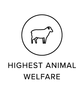 Highest Animal Welfare