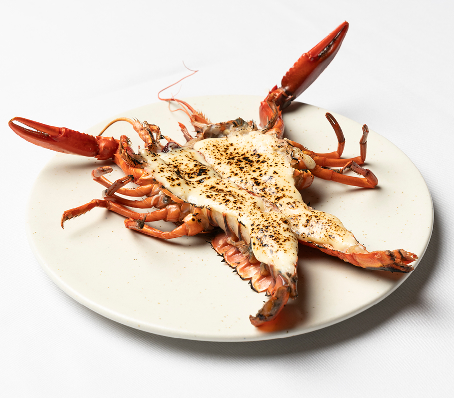 A beautifully presented plate of a dish