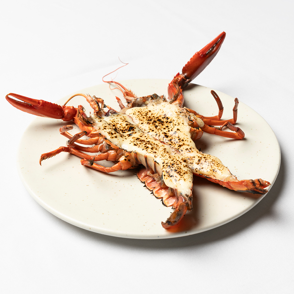 A beautifully presented plate of a dish