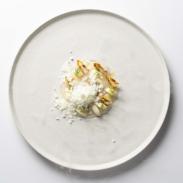 Artfully arranged meal on a clean plate, showcasing fresh ingredients and fine dining presentation.